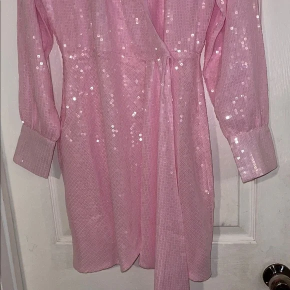 Steve Madden Light Pink Sequin Dress - Picture 3 of 7